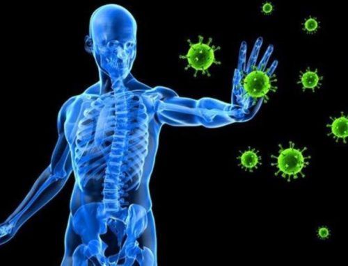 Best Immune System Booster Supplements | Review 2021