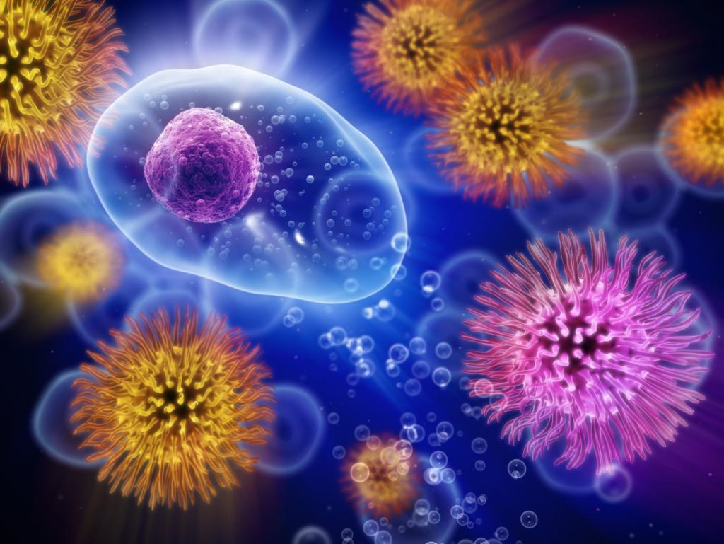 human-cells-immune-system