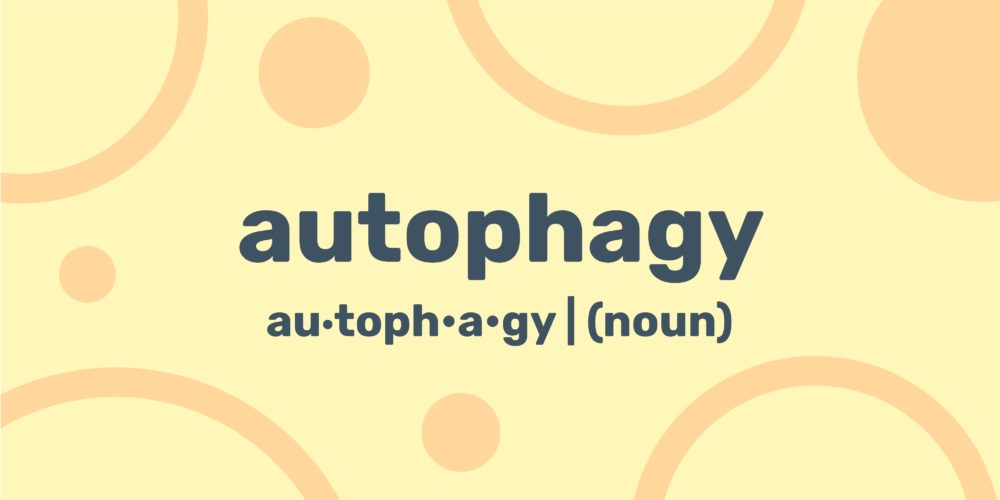 autophagy-diet-plan