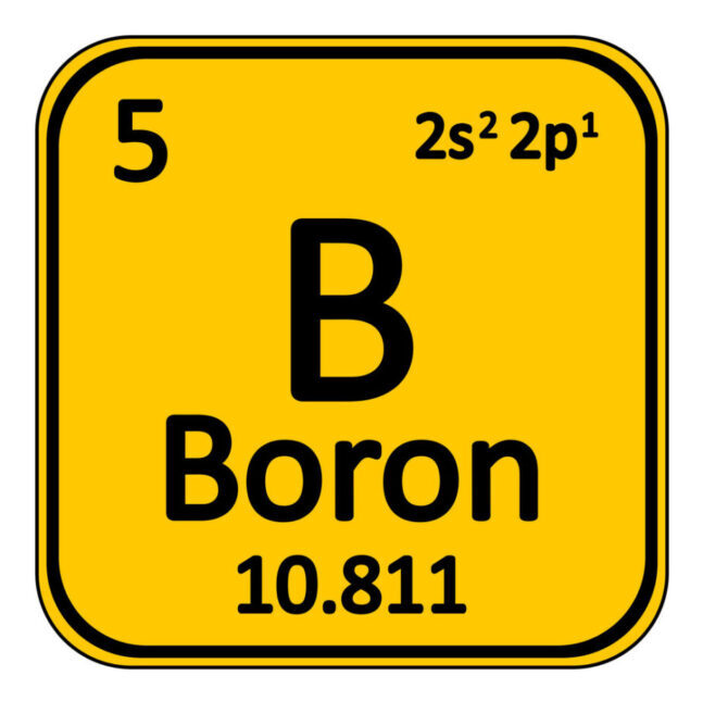 boron-bodybuilding.nutrition